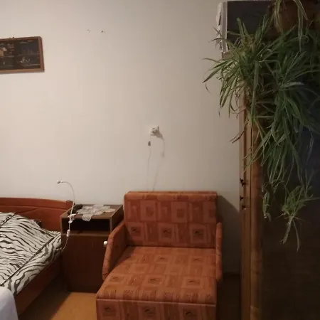 Apartment Julia Vendeghaz Tar
