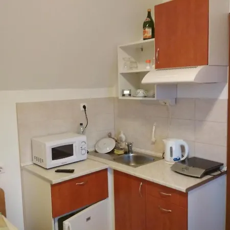 Julia Vendeghaz Apartment